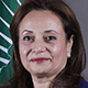 H.E Amani Abou-Zeid